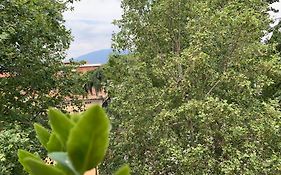 Tri